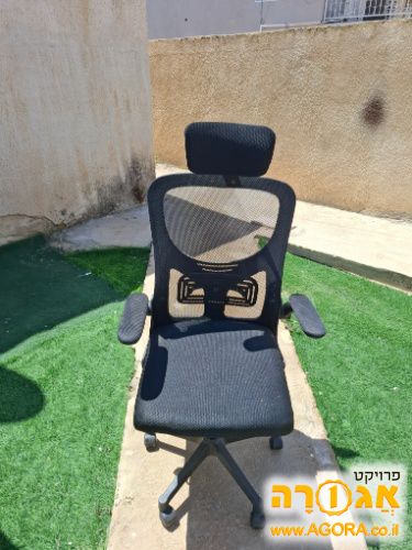 כיסא שרדי