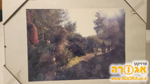 תמונה לתליה על קיר