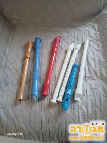חלילית