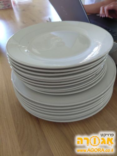 סט צלחות בשרי