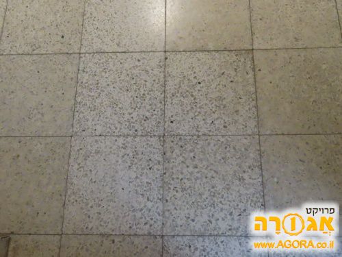מרצפות (בלטות) 30 ס:מ
