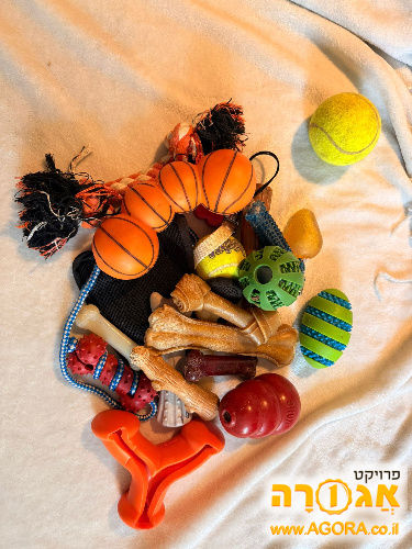מגוון צעצועים לכלבים