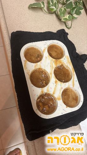 תבנית סיליקון