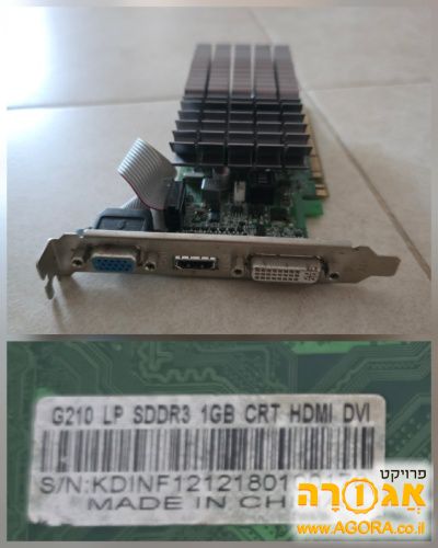 כרטיס מסך Nvidia G210 1gb