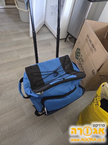 צידנית
