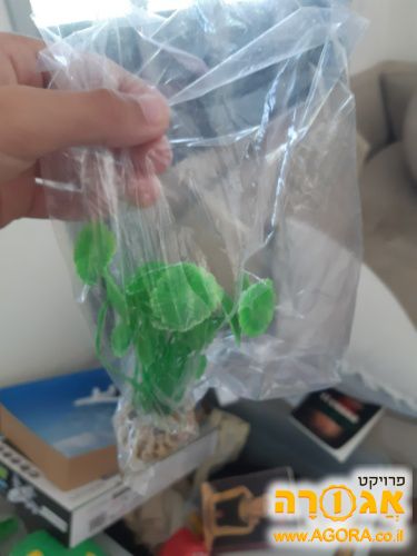 עץ לאקווריום