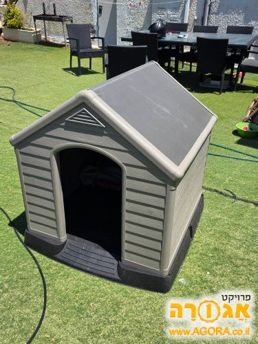 מלונה