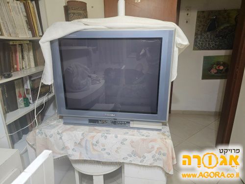 טלויזיה