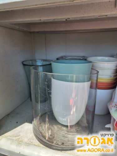 אגרטלים ועציצים