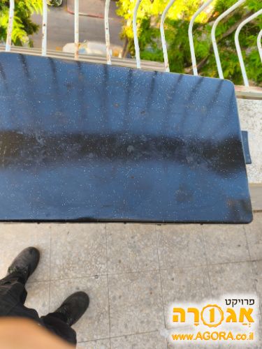 פלטת שבת