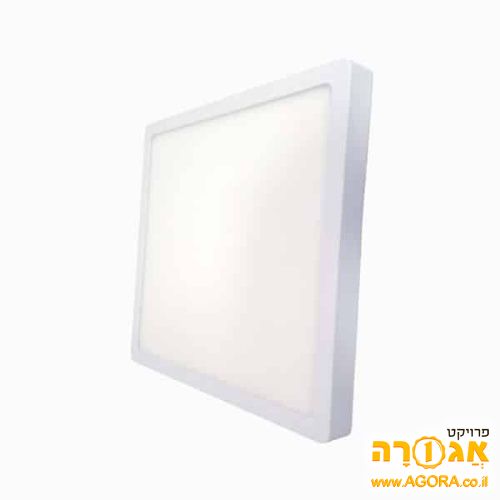 מנורה צמודת קיר