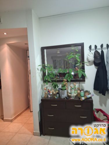 קומודה ומראה