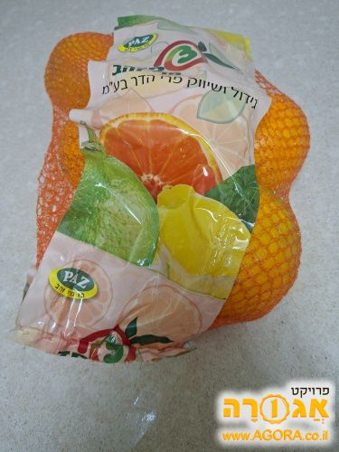 פירות וירקות