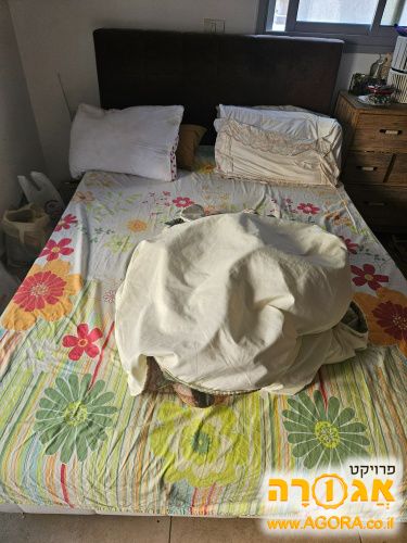 מיטה זוגית