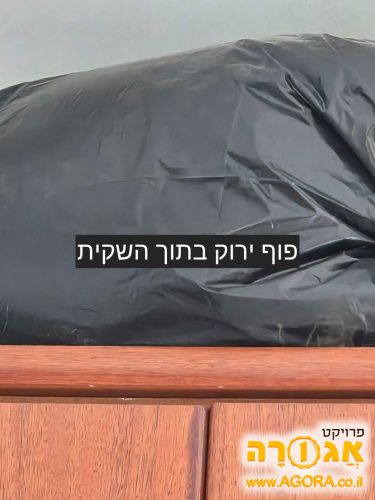 פוף