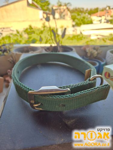 קולר לכלב גדול