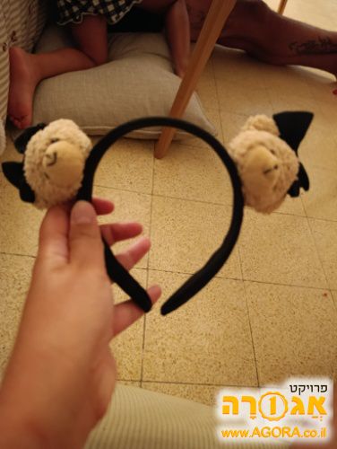 קשת דובי