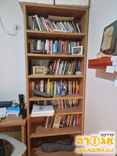 כוננית