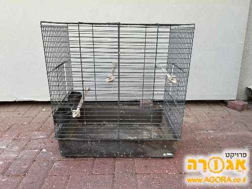 כלוב ציפורים