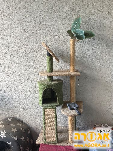 מתקן לחתולים קטן