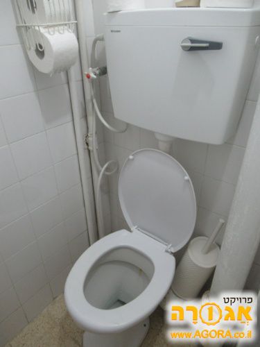 אסלה וניאגרה