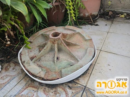 משקולת לשימשייה