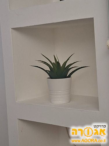עציץ