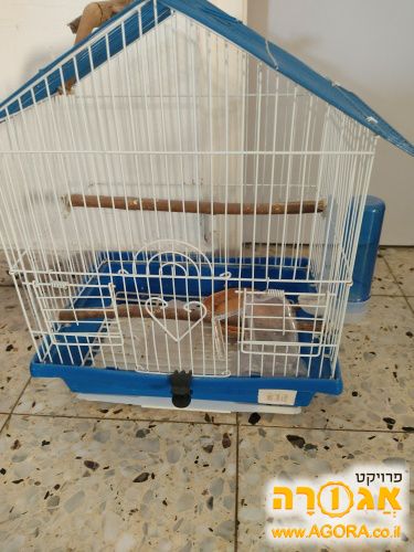 כלוב תוכי