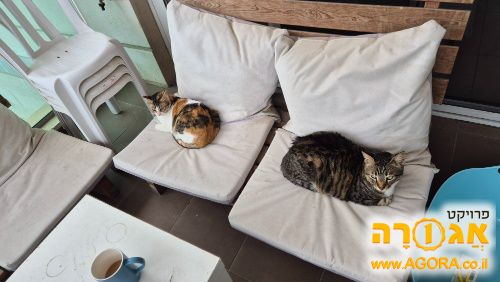 פינת ישיבה למרפסת או גינה