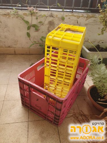 3 ארגזי פלסטיק