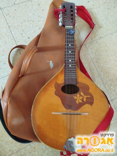 מנדולינה