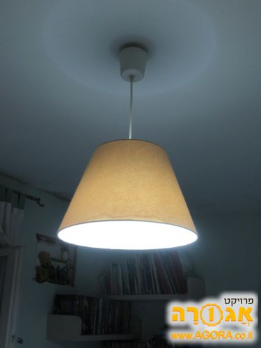 מנורה עם אהיל