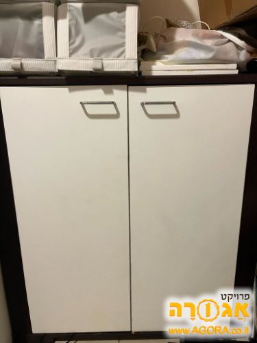 ארונית