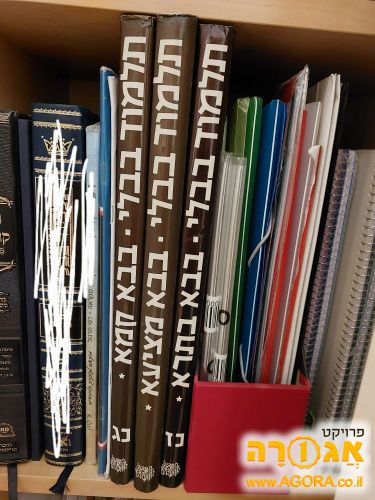 תלמוד שטיינזלץ