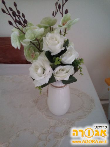 עציץ