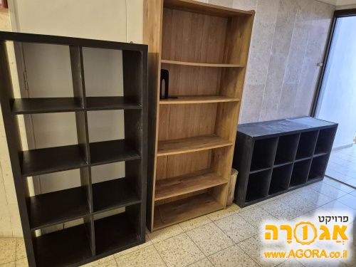 קוננית לספרים +שתי כוורות