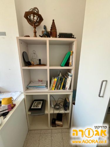 שתי כוורות ספרים