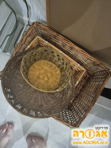 סלסלאות