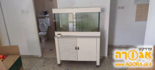 אקווריום מטר