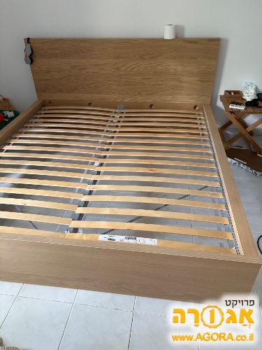 מיטה