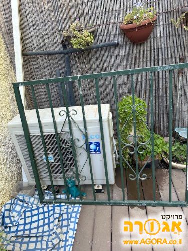 סורג