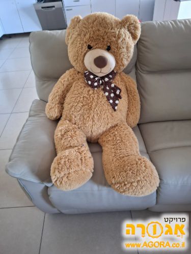 דובי