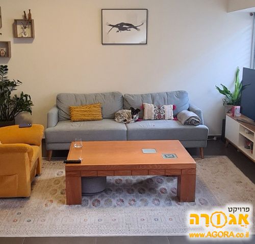 ספה