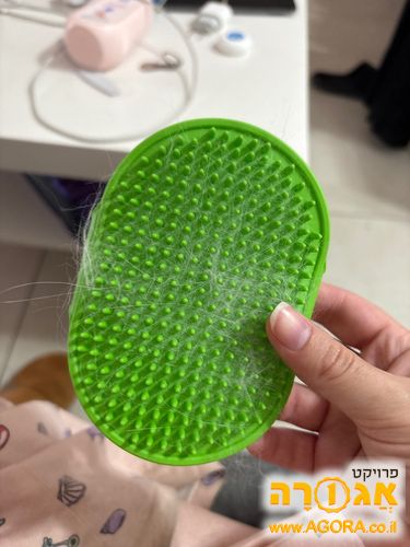 מסרק חתולה
