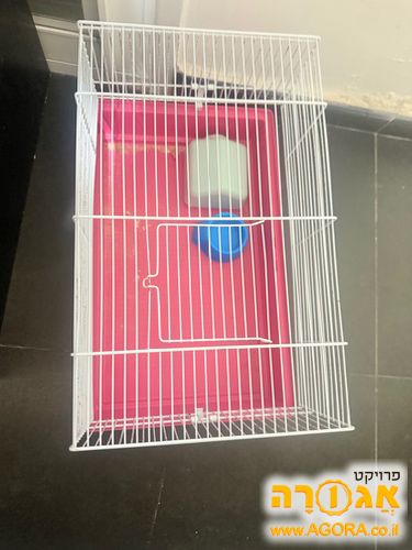 כלוב לאוגר