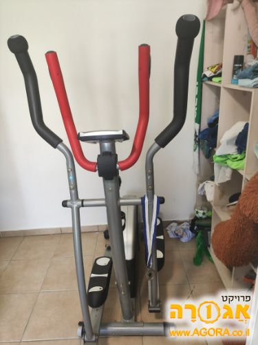 אלפטיקל