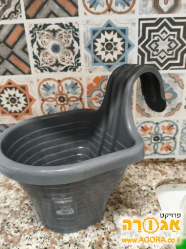 עדנית נתלת
