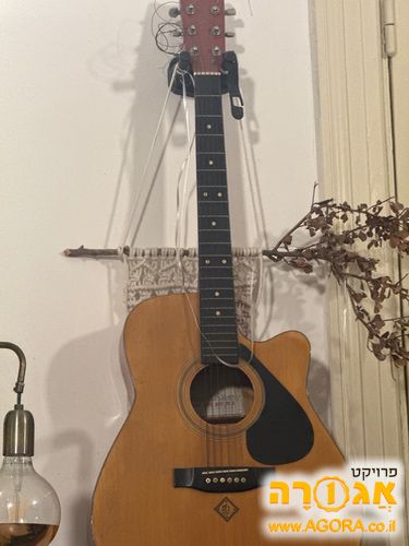 גיטרה אקוסטית