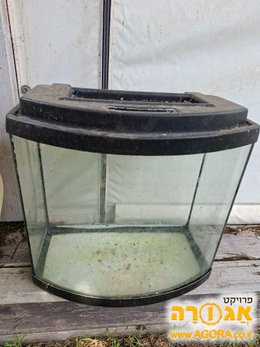 אקווריום