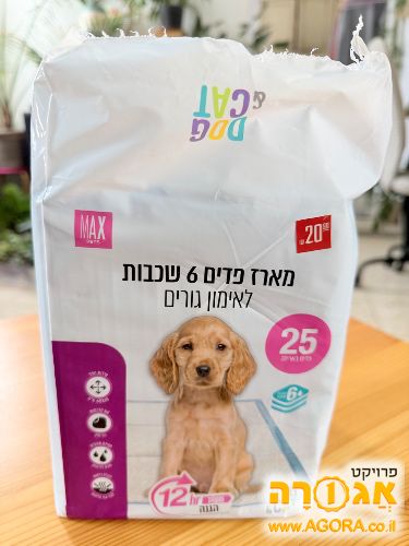 פדים לכלב